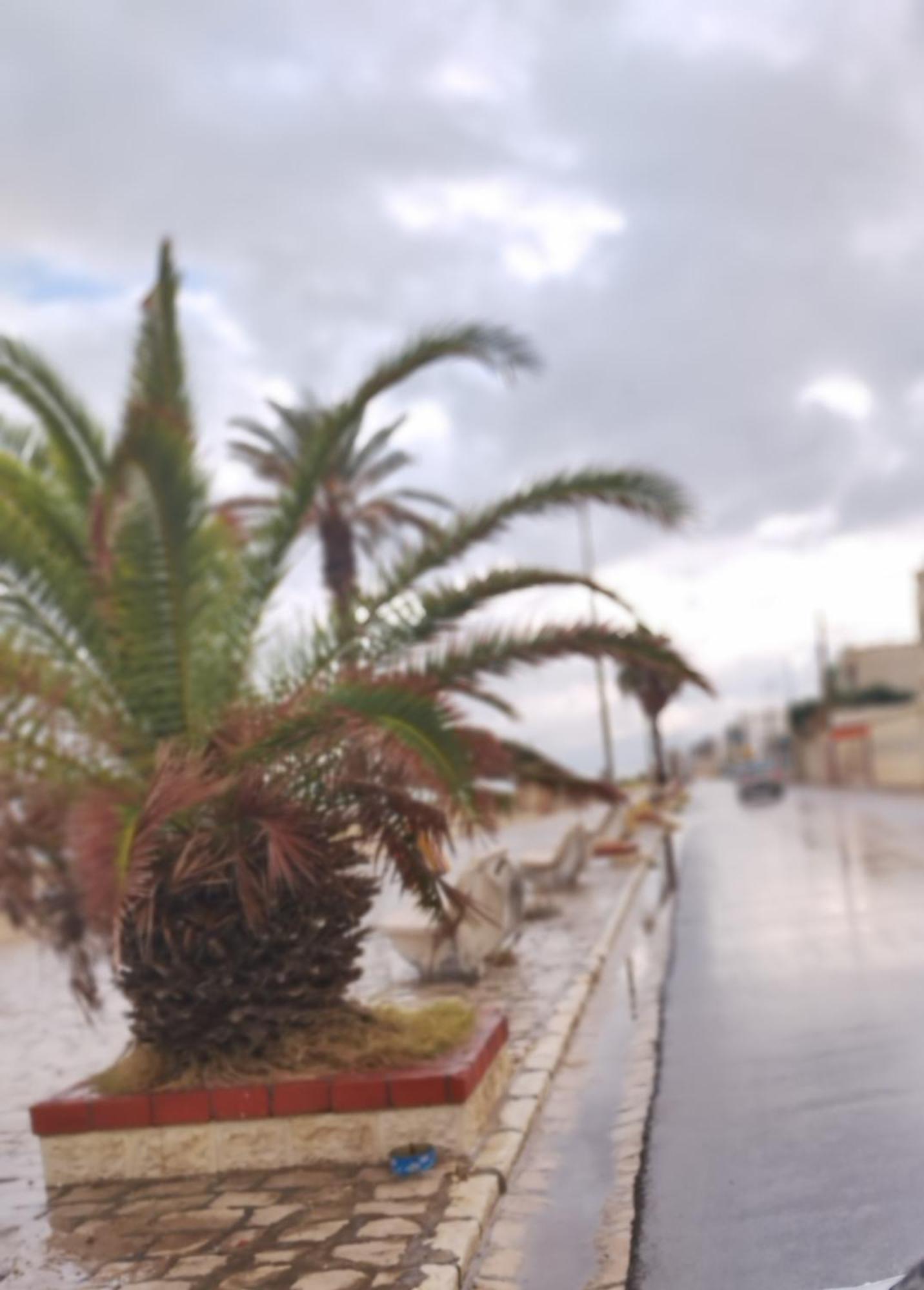 Appartement Hammam-Lif Les Cyclamens Tunisie Afrique Екстер'єр фото